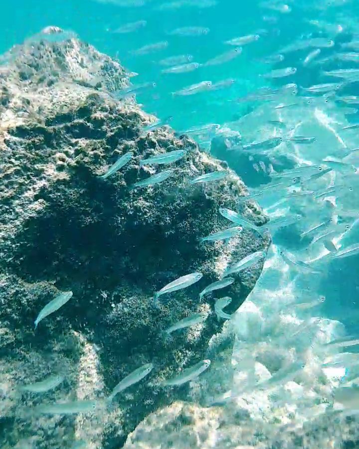 In love with the sea . . . #backpack #lovetotravel #traveler #travelislife #beautifulworld #israelblogger&hellip;