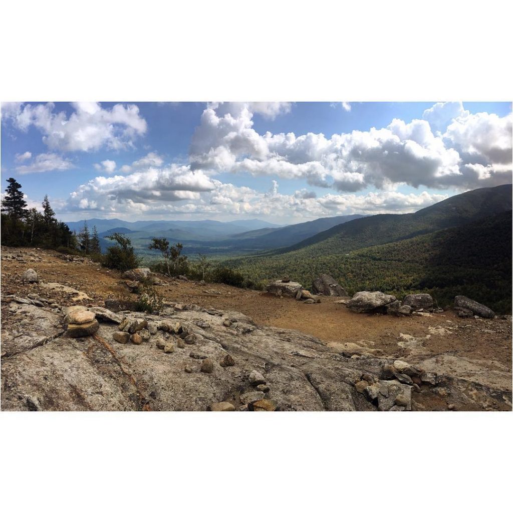 I like to imagine what it must be like to be a bird. I’d&hellip;