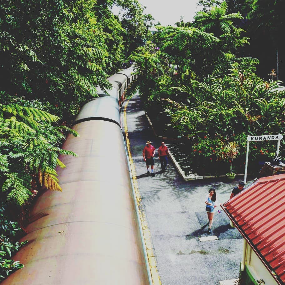 Kuranda “Jungle” Railway Station. #kuranda #kurandascenicrailway #kurandarailway #kurandatrain #kurandastation #cairns #australia_shotz #queensland #tropicalnorthqueensland #travelaustralia&hellip;