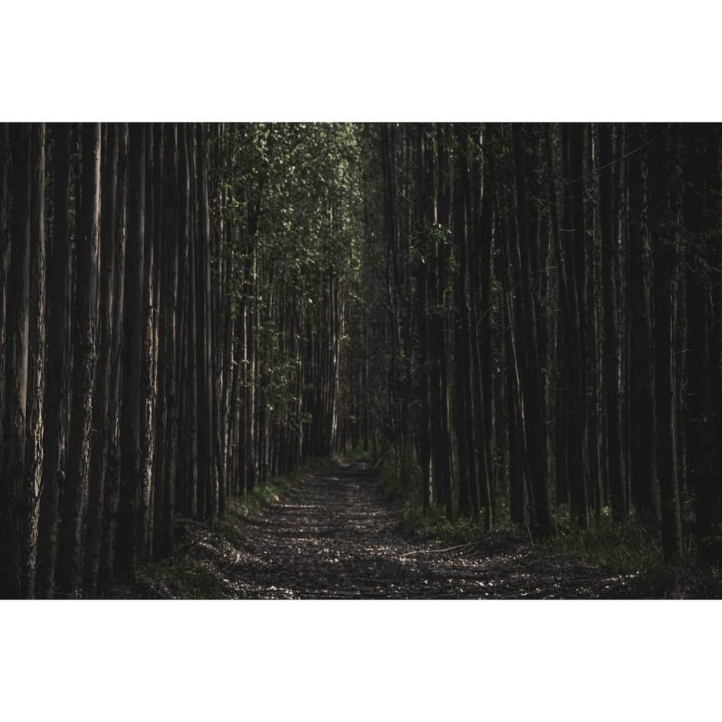 New blood joins this earth And quickly he’s subdued Through constant pained disgrace The&hellip;