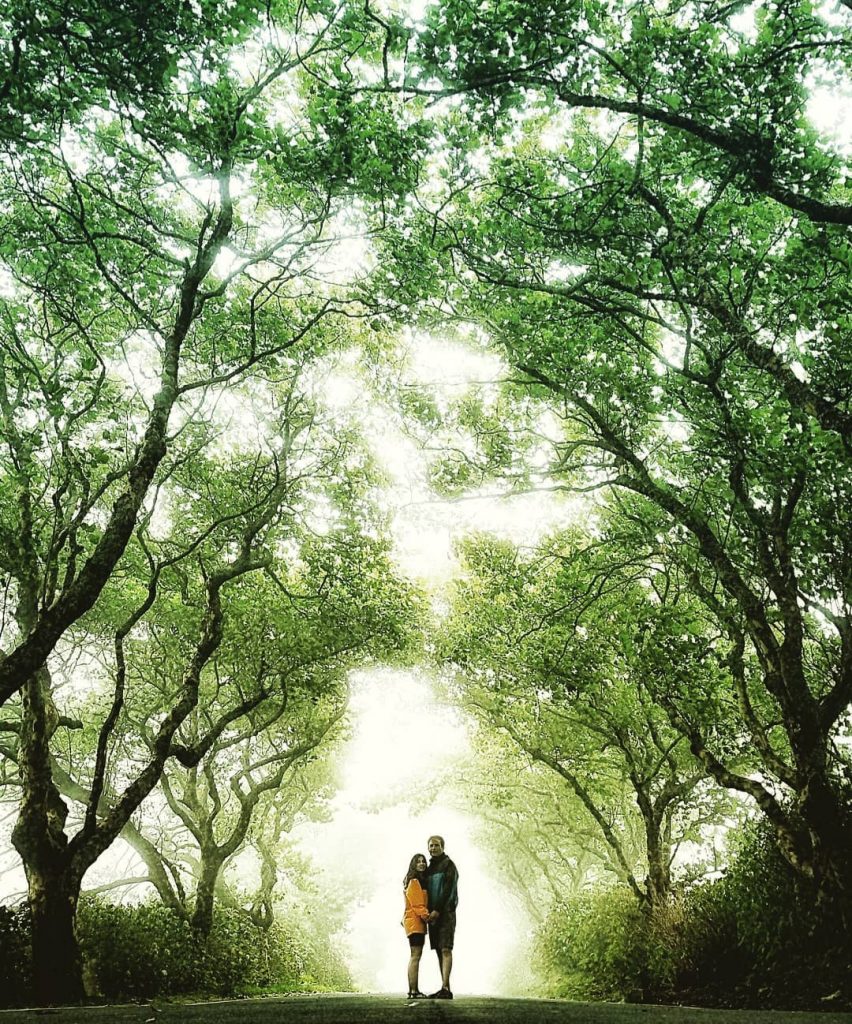 BEST VIEW TOUR Interior of the island Explore this fantastic island in the middle&hellip;