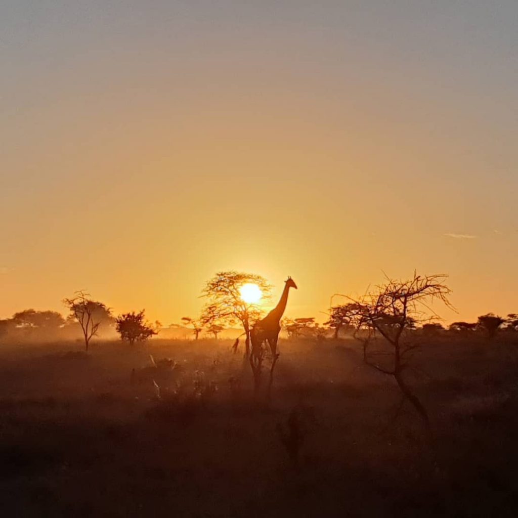El amanecer más bonito que nunca he visto. Imposible plasmar en fotos lo que&hellip;