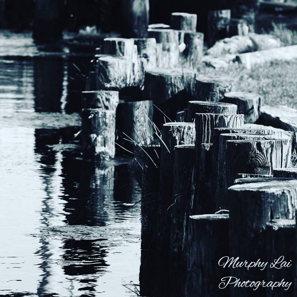 The raw materials of our nature. #bnesimppl