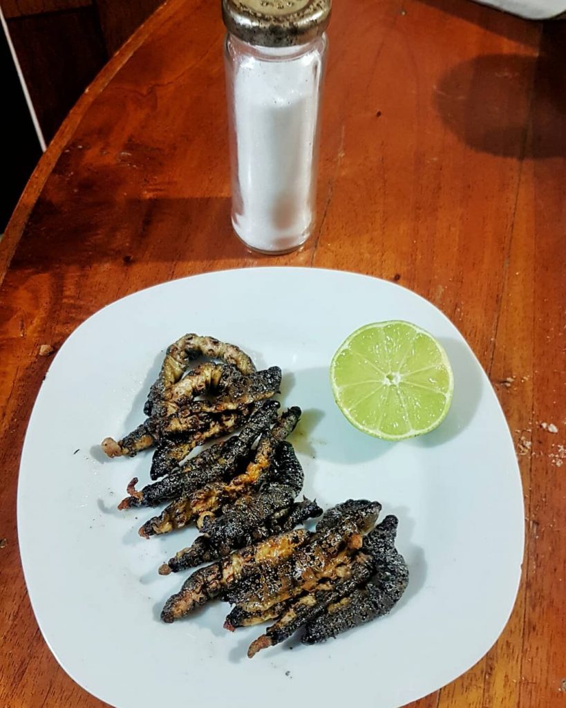 En Oaxaca hay más que chapulines “CUETLAS” #demochilazo #vive_mexico #mexico_maravilloso #lovesmexico #mexicodesconocido #pasionxmexico #instamexicanos&hellip;