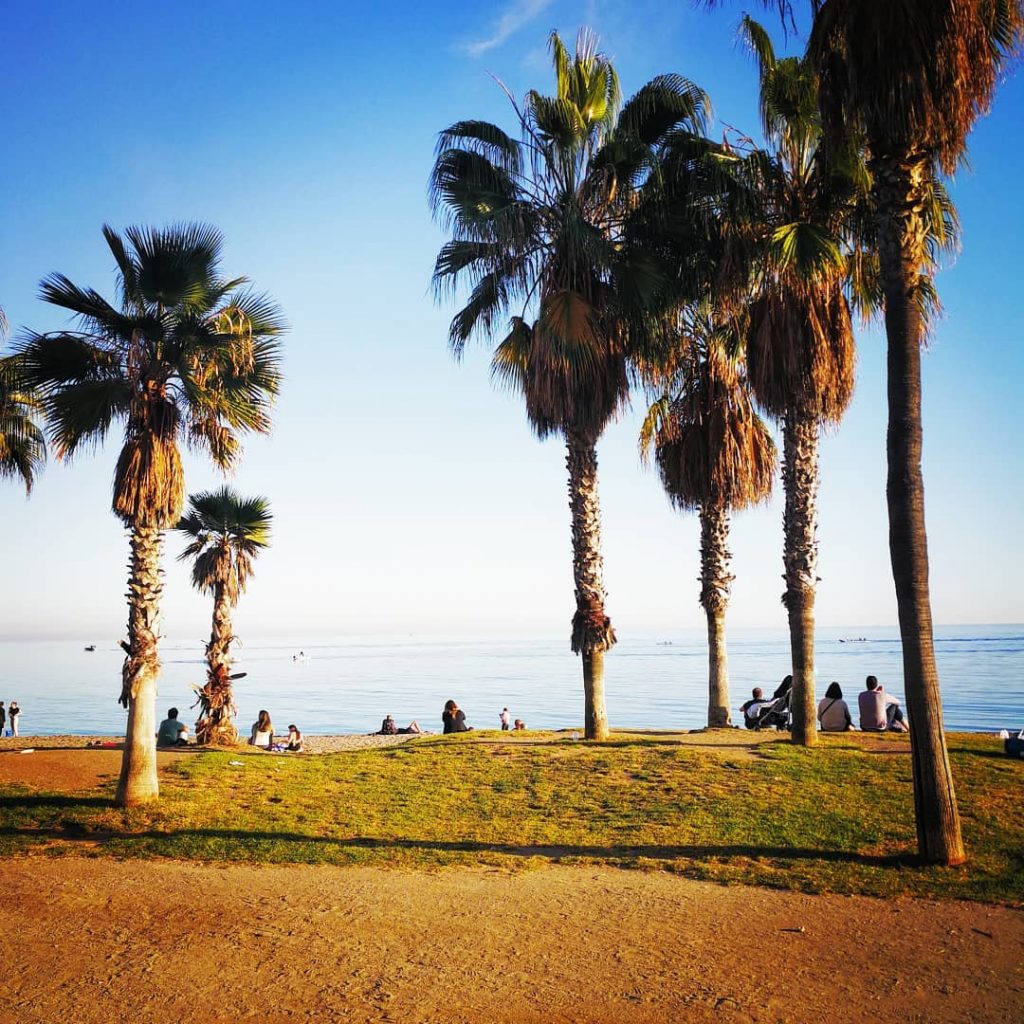 Malaga @sharepoint_travel . . #spain #malaga #beach #palms #worldtravelinspo #iamtb #travel #traveller #follow #sharepoint&hellip;