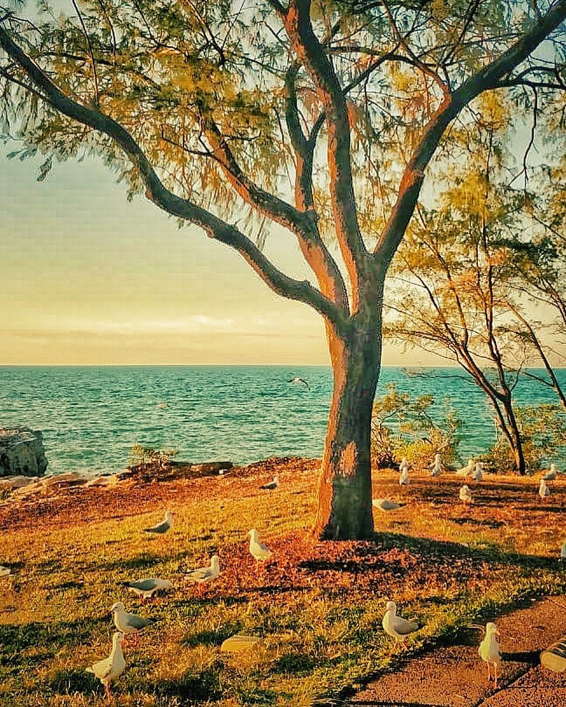 Darwin ️ . . . . . . . . . . #darwin #darwinaustralia…