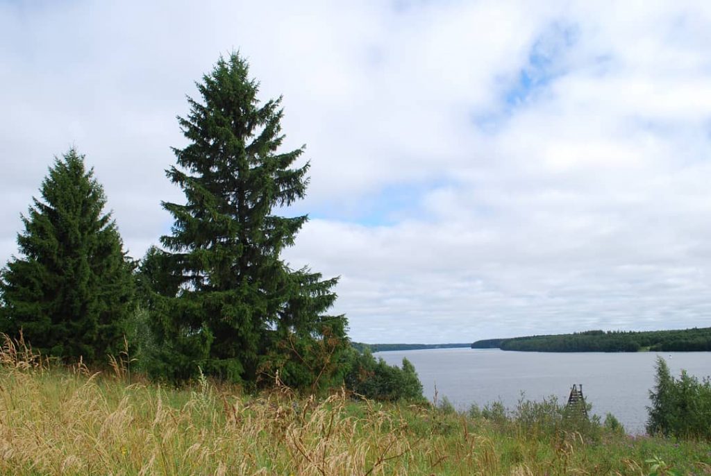 #color #sammer #travel #nature ~ ~ ~ #instadaily #tbt #instalike #photooftheday #amazing #bestoftheday #picoftheday&hellip;