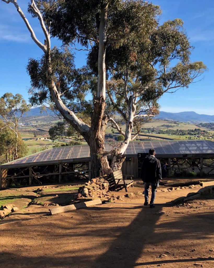 Bonorong aynı zamanda bir hayvan hastanesi, Tazmanya’da yollarda yada ormanlık bölgede yaralı bir hayvan&hellip;