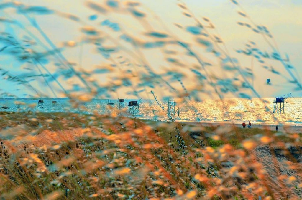 Esos puntitos son las casitas de los pescadores ️