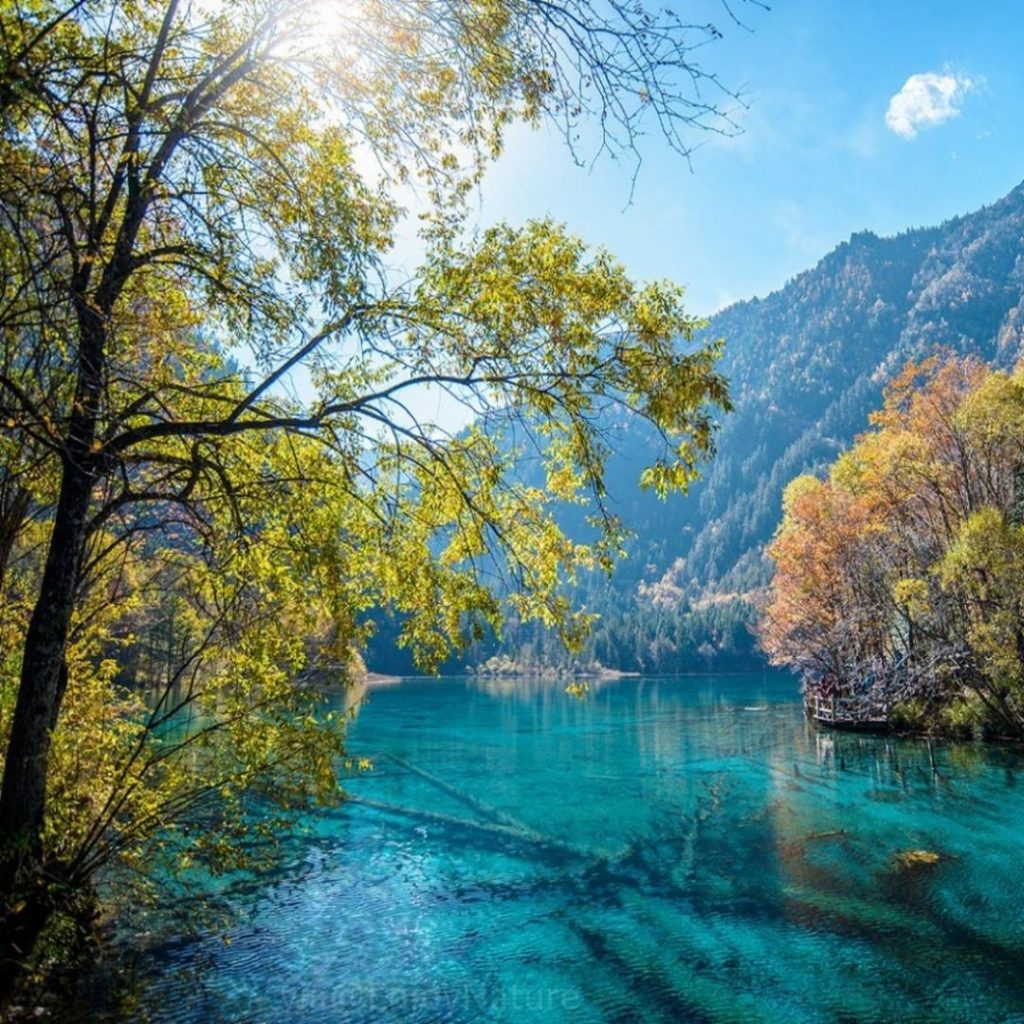 Amazing Nature at Five Flower Lake Park an UNESCO heritage site in China #landscapstyles&hellip;