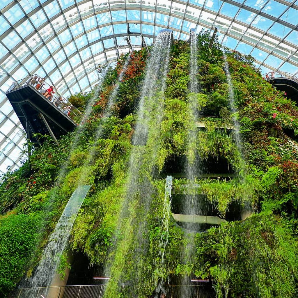 Cloud Forest #travelto #sourcedadventures #mustdotravels #travelingsnaps #theglobewanderer #livelovetheworld #travel_awesome #straythecourse #nomadnificent #vibetravel #wanderlust #backpackersanctuary&hellip;