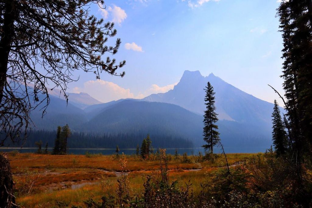 #mountains of #yohonationalpark #canadaisbeautiful . . . #bcisbeautiful #landscape #landscapephotography #explorebc #canadianrockies #parkscanada #explorecanada&hellip;