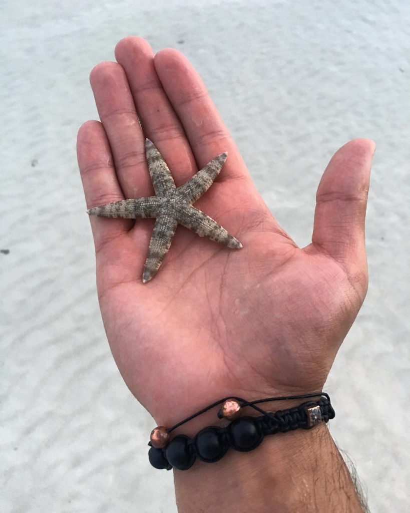 ⭐️⭐️⭐️⭐️⭐️stars of the oceans #philippines ‍️Discover my Journey around the #mostbeautifulplacesintheworld #travelgram #travellife #globetrotter&hellip;