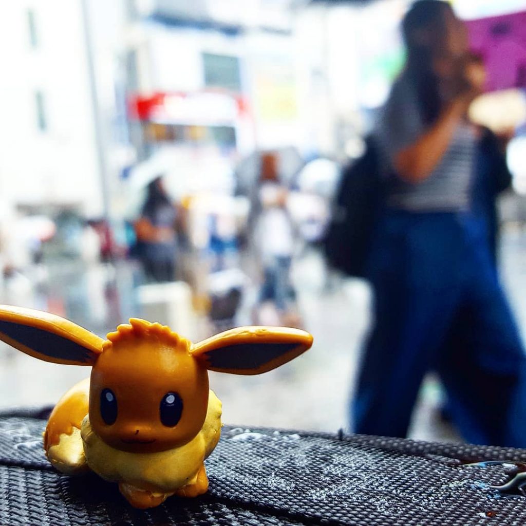 Eevee decided to come along for the ride! #californian #travelblogger #travelphotographer #travelphotography #travelblogger #travelblog&hellip;