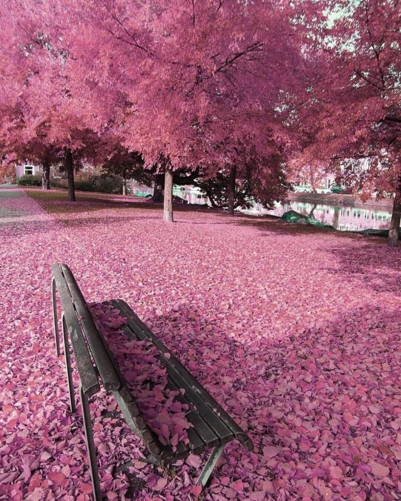 Amsterdam, Netherlands #landscapstyles #exklusiveshot #visualsofearth #beautifuldestinations #ilovetravel #amazing #hermanosviajeros #iloveamsterdam #igersnetherlands #winterlove #visitamsterdam #bnesimppl&hellip;