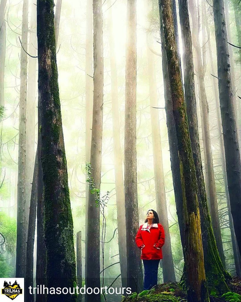 #GoToDotMuFeaturedPhoto @trilhasoutdoortours – BEST VIEW TOUR Interior of Terceira Island Fell the Photo by&hellip;