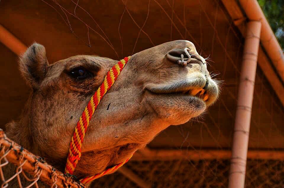 No words needed #dubai ‍️Discover my Journey around the #mostbeautifulplacesintheworld #travelgram #travellife #globetrotter #iamtb&hellip;