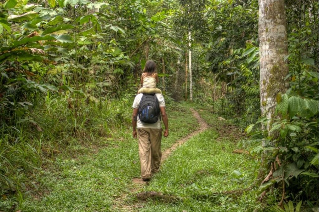 Caminando por el monte. #padre&hija #familia #caminata #camino #paisaje #selva #monte #naturaleza #viaje #travel&hellip;