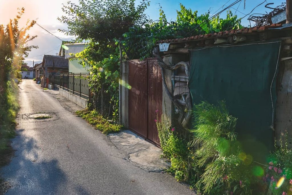 Just outside Ohrid city centre, you’ll find the main residential areas were most&hellip;