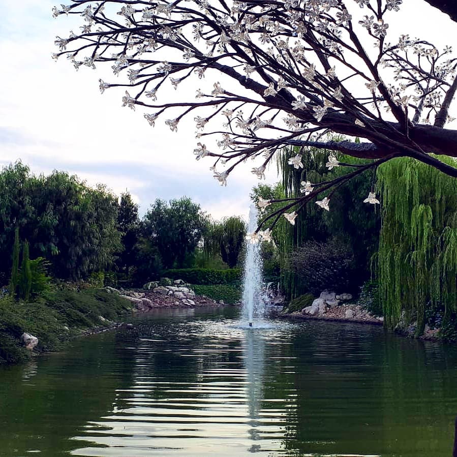 I just found the peace of mind ????‍️ . . . #garden #cerignola #puglia&hellip;