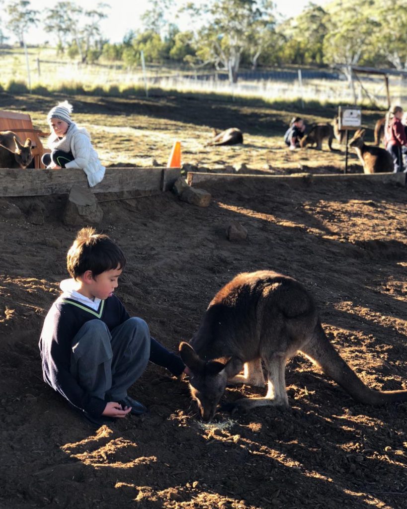 Bir nevi okul gezisi şeklinde dönem dönem öğrencileri gruplarını da kabul ettiklerini öğrenerek anın&hellip;