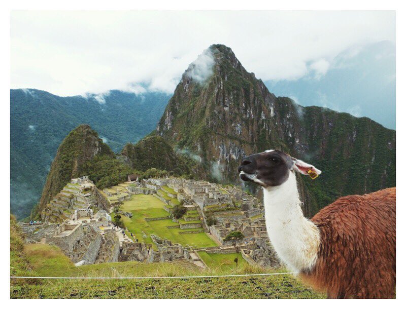 Machu Picchu Cusco ∣ Perú . . . . . . #cusco #cuzco #peru…