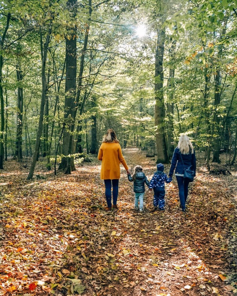 Back home and we are in autumn mood . #bnesimppl #colorlove #dailydoseofcolor #mytinytribe #lovemyfam&hellip;