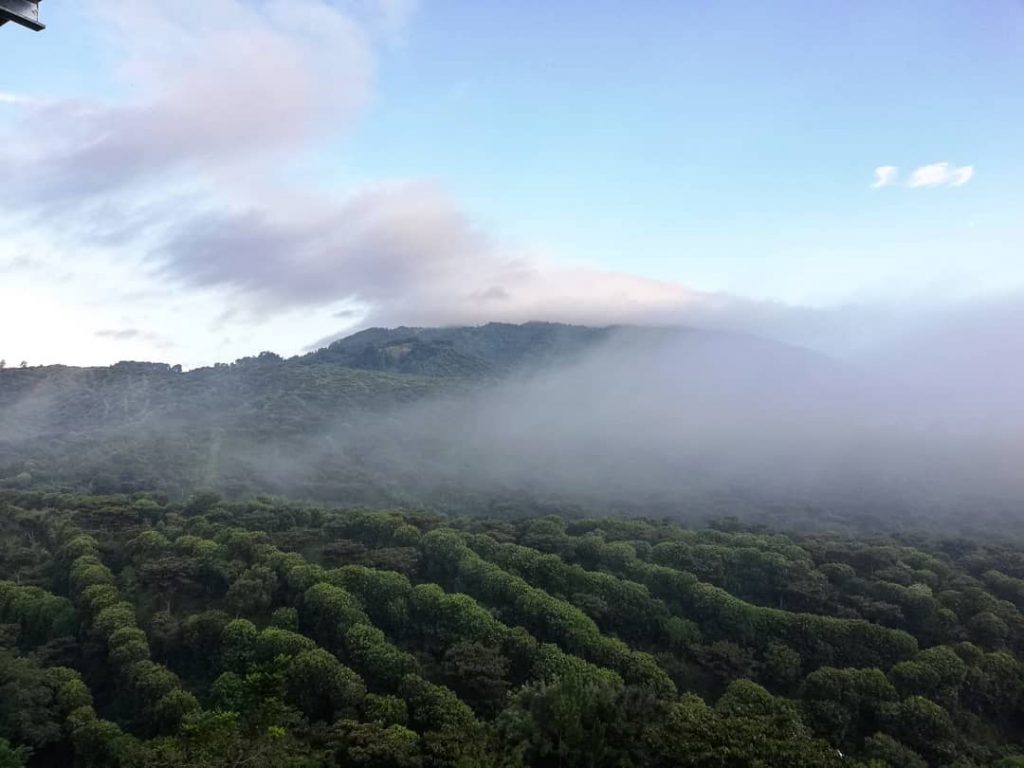 Buscando cosas o lugares que nos hagan sentir vivos! . . . #love #nature&hellip;