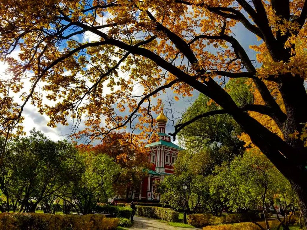 I love the colors of autumn! This was 11 months ago in Moscow, Russia,&hellip;