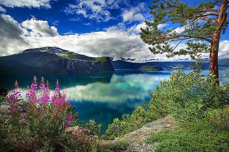 A heaven of beauty! #landscapstyles #exklusiveshot #visualsofearth #beautifuldestinations #ilovetravel #amazing #hermanosviajeros #iloveamsterdam #igersnetherlands #winterlove&hellip;