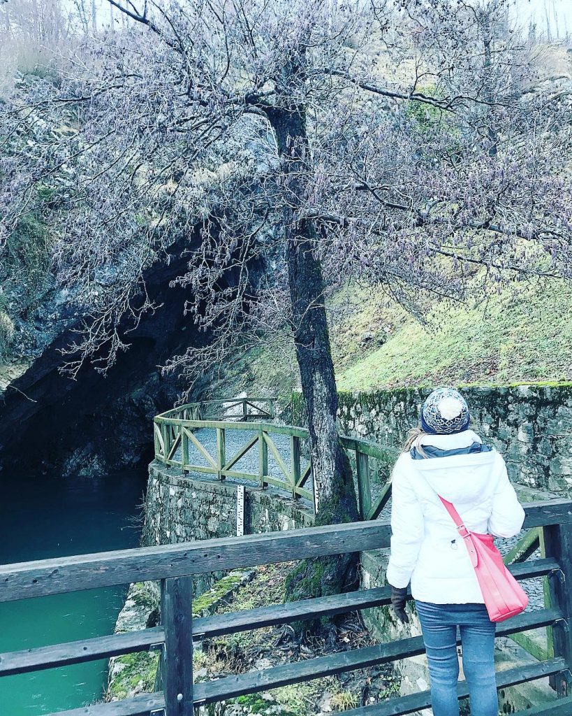 The Postojna Caves were hollowed out and created by the Pivka River. The river&hellip;