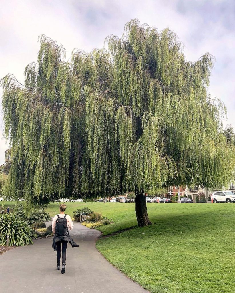 Después de los días intensos en el desierto de Black Rock, regresamos a San&hellip;