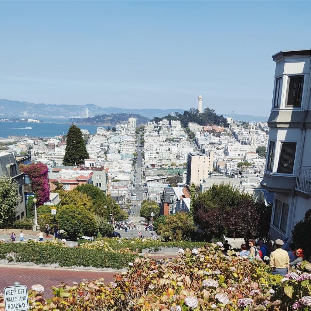Walking through these long streets …………………………………………………… #lombardstreet #sanfrancisco #travel #holidays #california #iamtb #bnesimppl