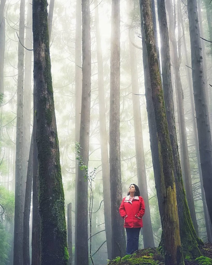 BEST VIEW TOUR Interior of Terceira Island Fell the Photo by @trilhasoutdoortours It’s not&hellip;