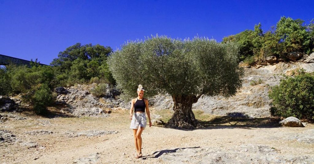 The olive garden ‍