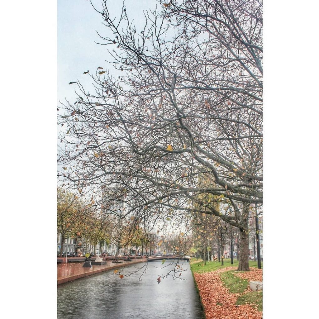 Rainy Rotterdam ️ I cannot forget my first time visiting Rotterdam because the weather&hellip;