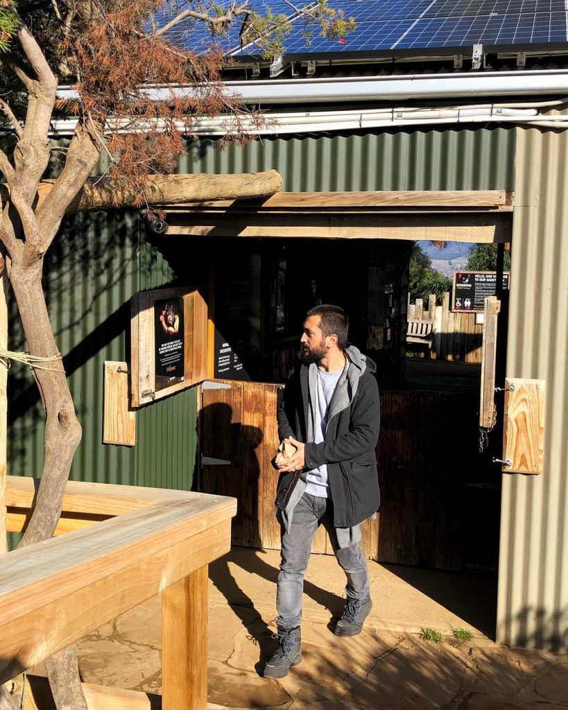 Bonorong için toplu taşıma ile ulaşım pek mümkün değil. Turist merkezlerindeki broşürlerde bulunan tur&hellip;