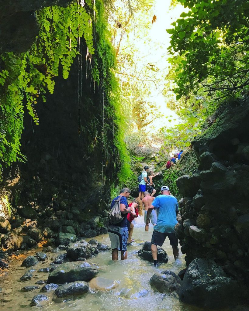#fethiye #jeeptrip #culture #kadikoy #muğla #canyon #turkey #土耳其 #onedaytour #roadtrip #airbnbturkey #travel #backpackers #adventuretime&hellip;