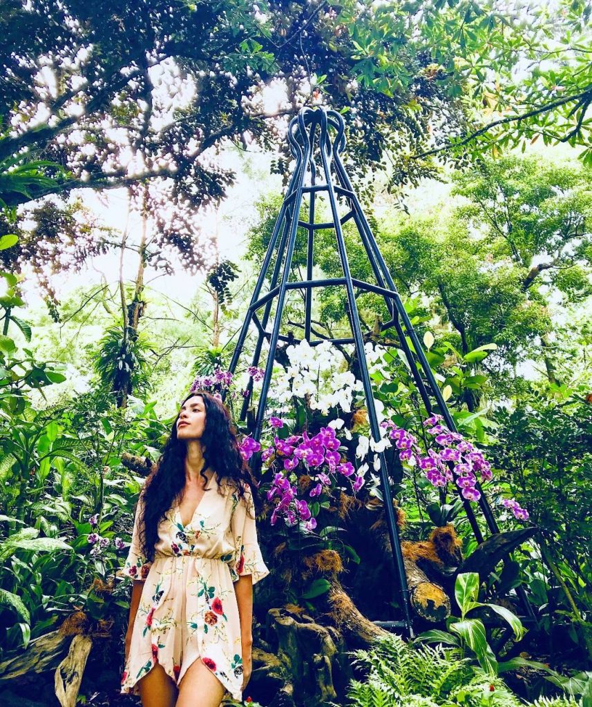 Lost in Fairyland . . . . #botanicgardens #orchids #gardenscape #exploresingapore #wonderlustsingapore #VisitSingapore ????????…
