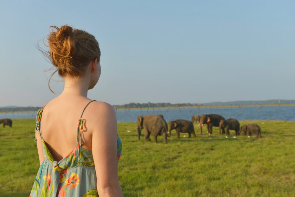 memories that last forever #safari #foreveronvacation #elephants #srilanka #iamtb #wildelephants #memories #jeeptour #bnesimppl #iamtb&hellip;
