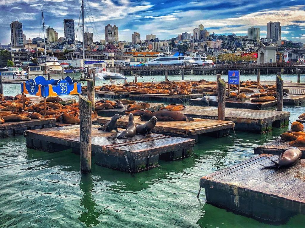 Where there is love there is .