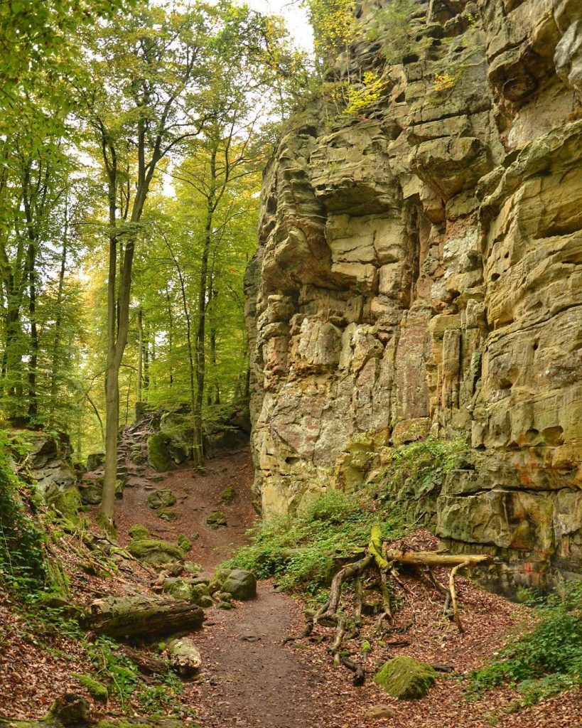 Hiking with a friend somewhere in the Eiffel National Park in Germany, autumn 2016.…