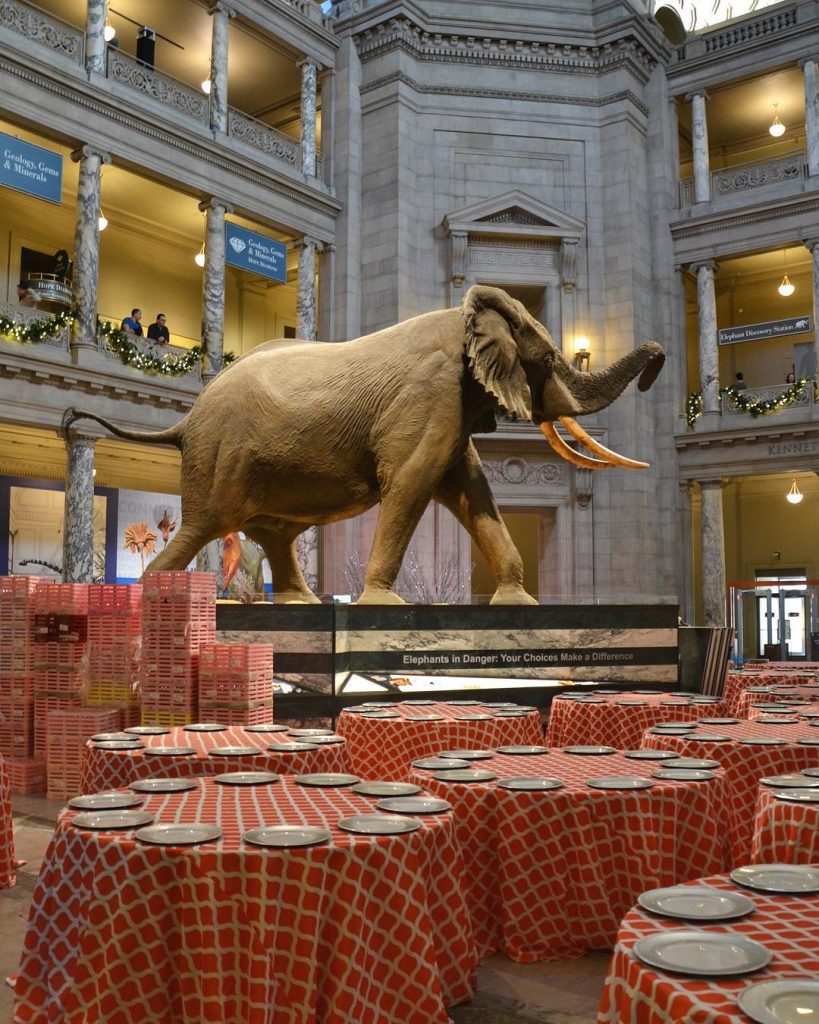 Imagine having a banquet here?! They were setting up tables for some fancy shindig&hellip;