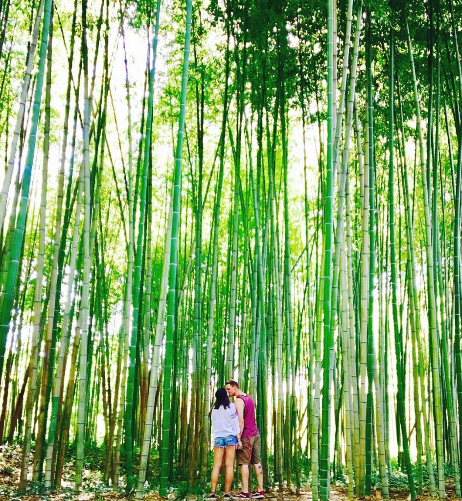 The best places are the secrets in small towns . . . #travel #travelcouple&hellip;