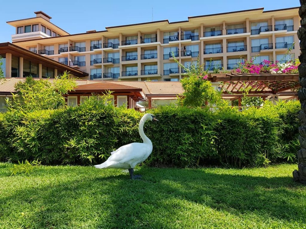 #travelblogger   #autogramtags  #instatravel   #traveling   #travellover   #travelling   #travelpgotography   #tourism   #travelgram   #wunderlust   #travelaroundtheworld   #travel   #traveladdicted  &hellip;