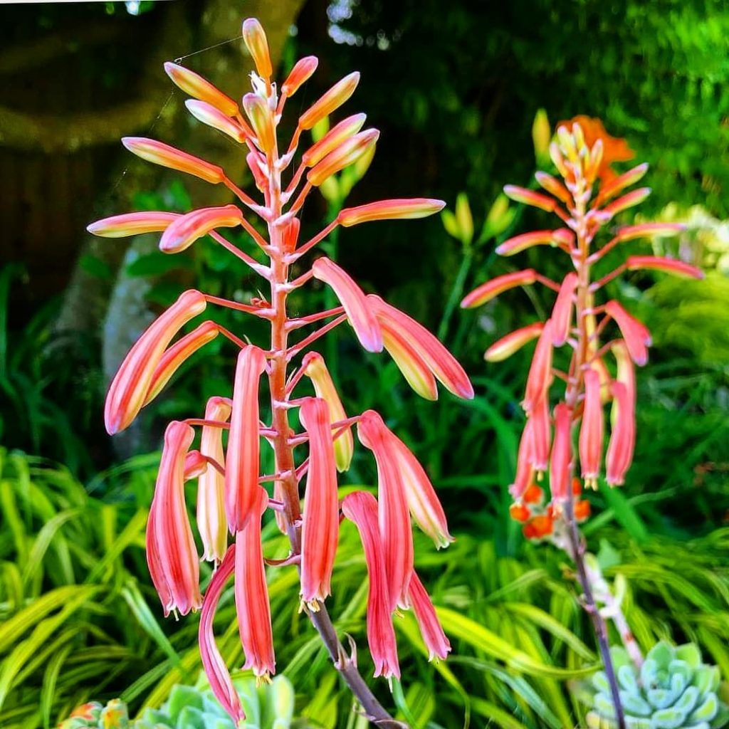 #rkphotography17 #photography #photo #photographer #travelrealindia #travel #travelling #streetphotographyindia #follow4follow #followme #followforfollow #commentforcomment #comment4comment #likesforlikesback&hellip;