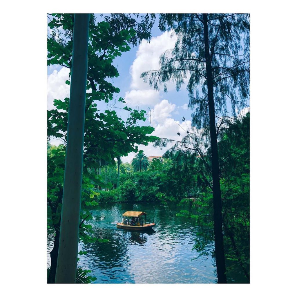 Chinese beauty. ____________________________________________________ #asia #china #guangzhou #citylife #nature #naturelovers #photooftheday #photography #naturephotography #travel #igers&hellip;