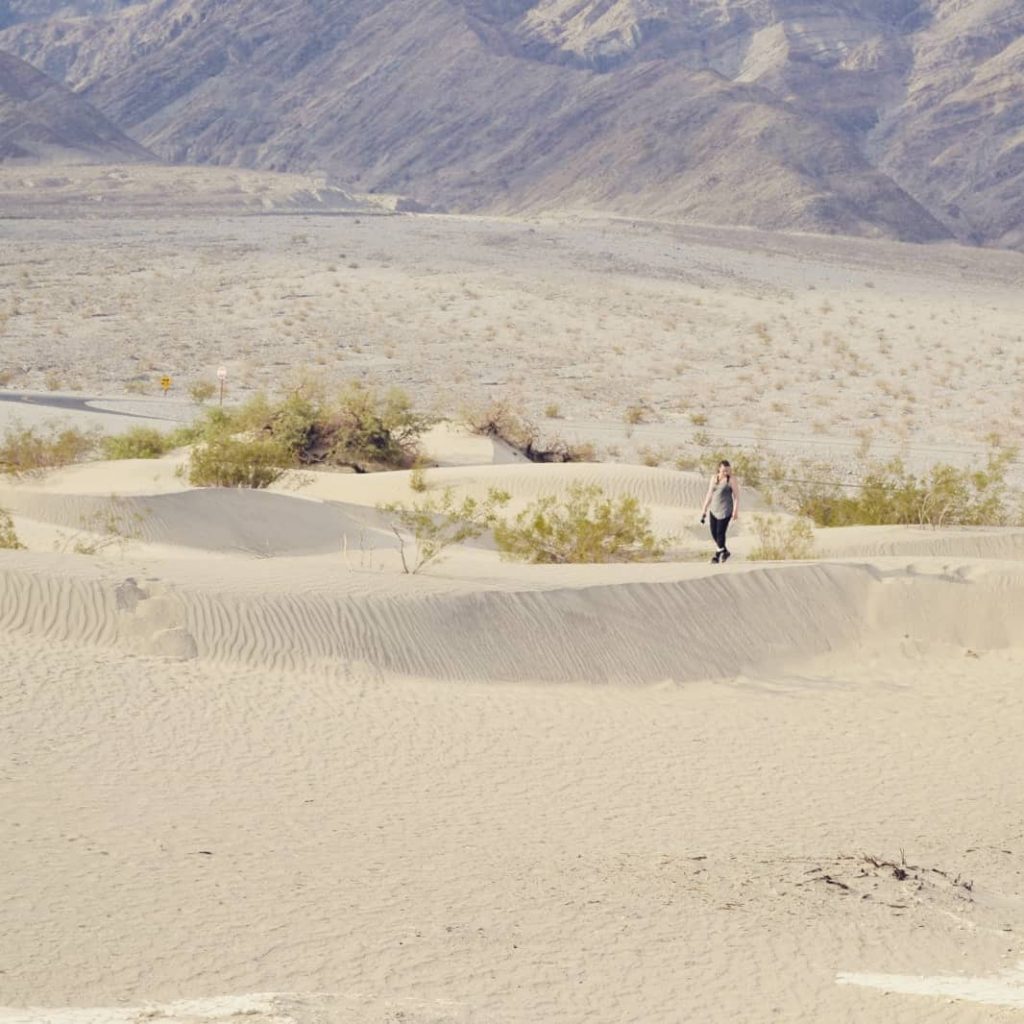 Unbearable: the answer when asked for one word to describe @deathvalleynps • • •…