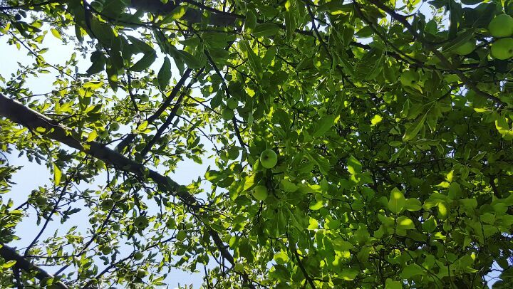 Turn the sound up and feel the peaceful bliss. It truly signifies a lazy&hellip;