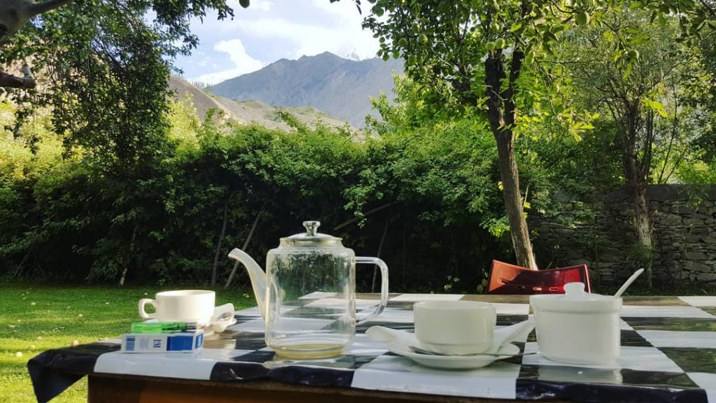 Sipping on some freshly brewed rose tea made from 2 different varieties of roses&hellip;